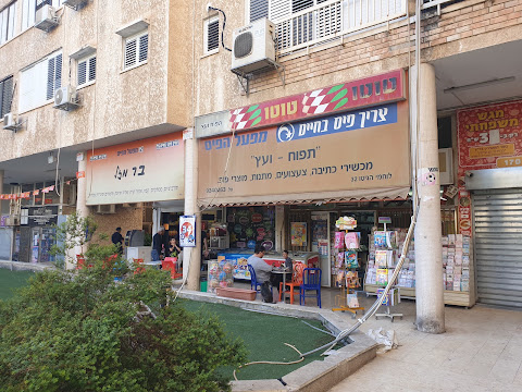 תמונה