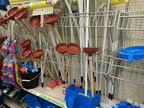 Dollar Tree - Car repair in Bonita Springs, FL, Bonita Springs - Rated 4.1/5