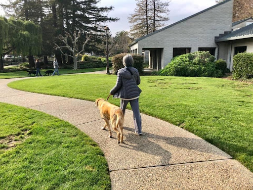 Training School «Guide Dogs For The Blind Inc», reviews and photos