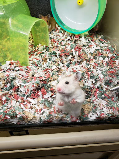 Pet Supply Store «PetSmart», reviews and photos, 190 Rt 10 West, East Hanover, NJ 07936, USA