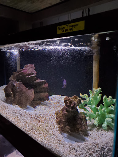 Tropical Fish Store «Marine Oasis», reviews and photos, 5340 W Ridge Rd, Spencerport, NY 14559, USA