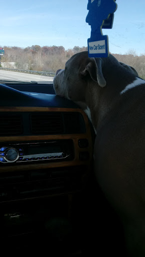 Movie Theater «Rave Motion Pictures Milford 16», reviews and photos, 500 Rivers Edge Dr, Milford, OH 45150, USA