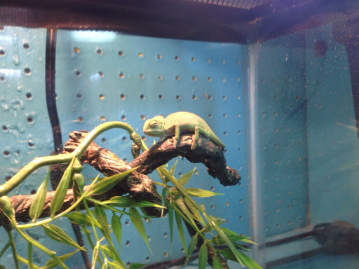 Pet Store «Hendersonville Pet Shop», reviews and photos, 1400 Spartanburg Hwy, Hendersonville, NC 28792, USA