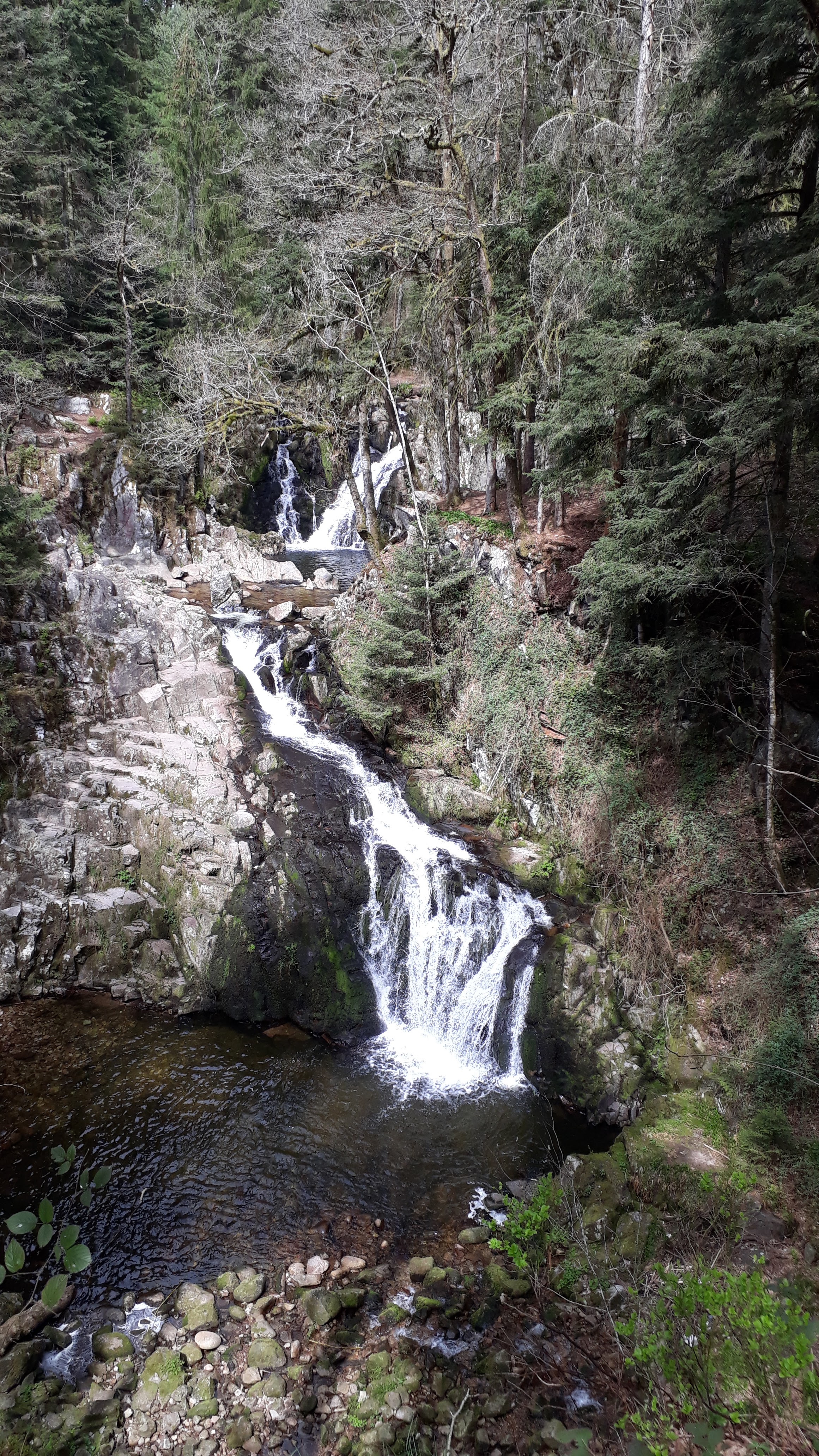 Photo n° 1 de l'avis de Yvette.o fait le 02/05/2019 à 06:26