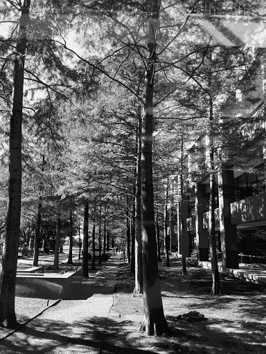 Corporate Campus «JCPenney Headquarters», reviews and photos, 6501 Legacy Dr, Plano, TX 75024, USA