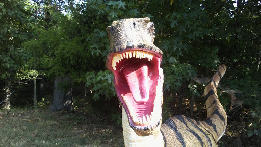 Cigar Shop «Border Store», reviews and photos, 4240 James Madison Pkwy, King George, VA 22485, USA