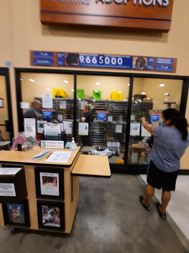 Pet Supply Store «PetSmart», reviews and photos, 1034 N El Camino Real, Encinitas, CA 92024, USA