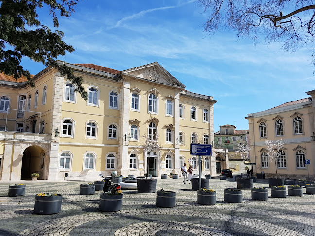 Parque Dom Carlos I, S/N, Caldas Da Rainha, Leiria