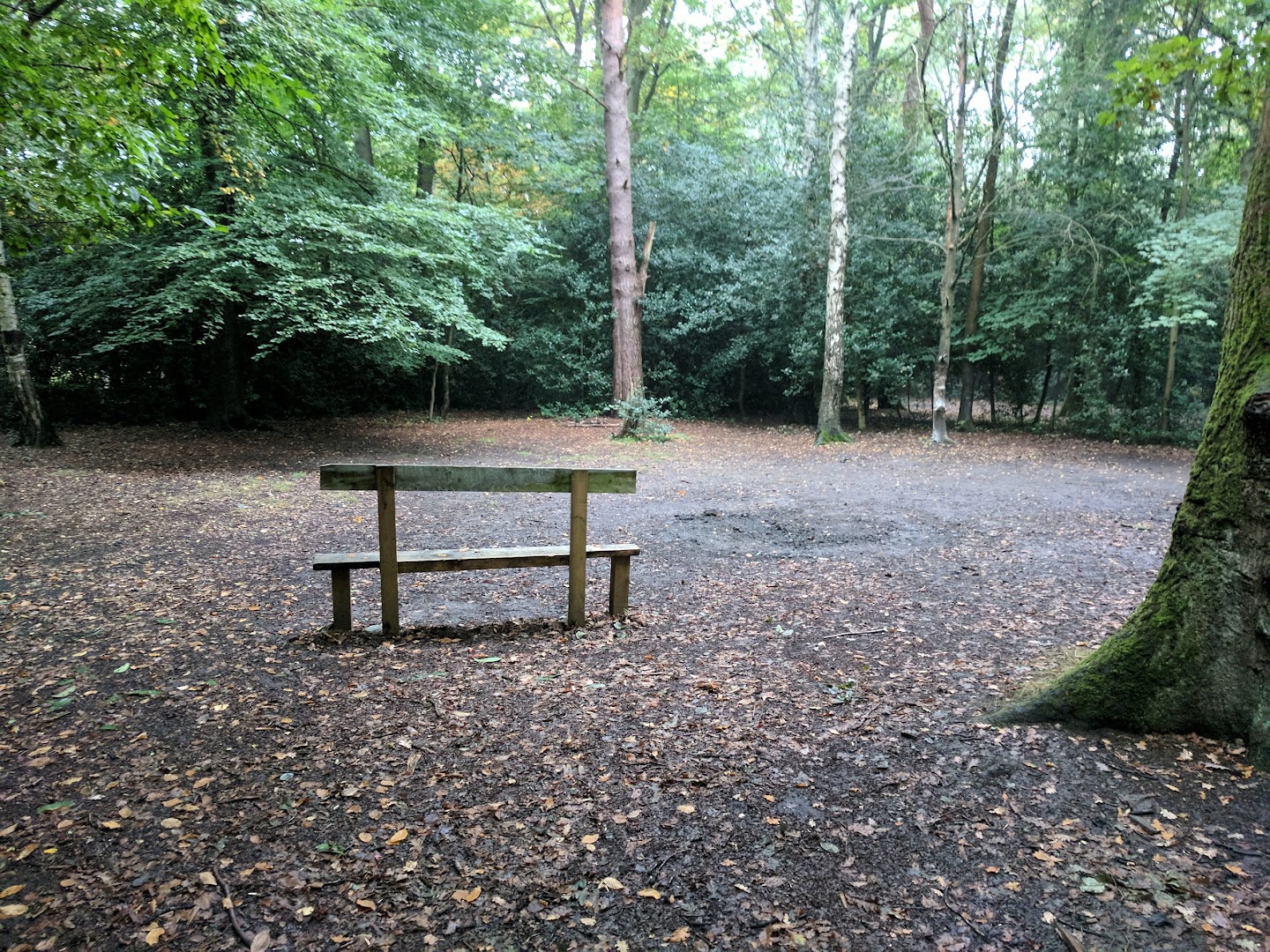 Earleywood Scout Campsite