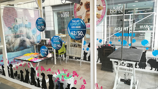 Alejandro Puerto | Estilista Canino en Sant Joan de Vilatorrada, Barcelona