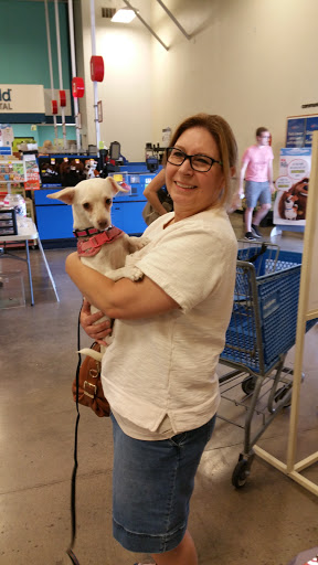 Pet Supply Store «PetSmart», reviews and photos, 7290 W Bell Rd, Glendale, AZ 85308, USA