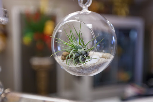 Florist «Centerville Florists», reviews and photos, 209 N Main St, Centerville, OH 45459, USA