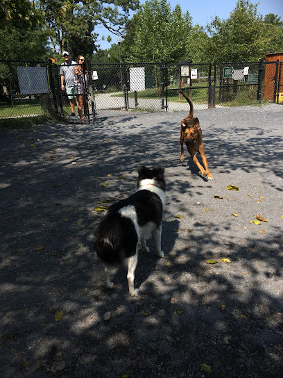 Newark Street Dog Park