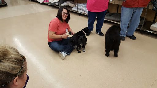 Pet Supply Store «Petco Animal Supplies», reviews and photos, 35860 Chester Rd, Avon, OH 44011, USA