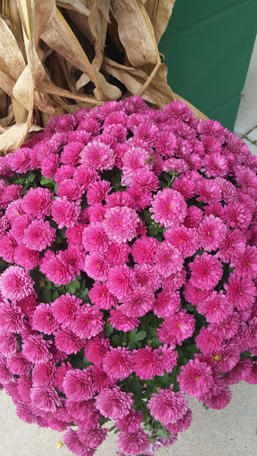 Grocery Store «Ferndale Market», reviews and photos, 31659 Willow Trail, Cannon Falls, MN 55009, USA