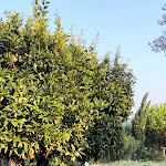 Photo n°6 de l'avis de Thomas.a fait le 27/08/2023 à 10:34 sur le  Agriturismo Vivinatura Hotel Country Resort à Pompei