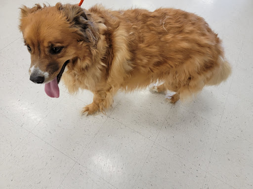 Pet Supply Store «PetSmart», reviews and photos, 6251 N Davis Hwy, Pensacola, FL 32504, USA