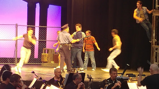 Performing Arts Theater «Plays-In-The-Park», reviews and photos, 1 Pine Dr, Edison, NJ 08837, USA