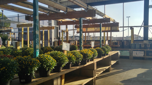 Home Improvement Store «Menards», reviews and photos, 4400 Town Center Blvd, Jeffersonville, IN 47130, USA