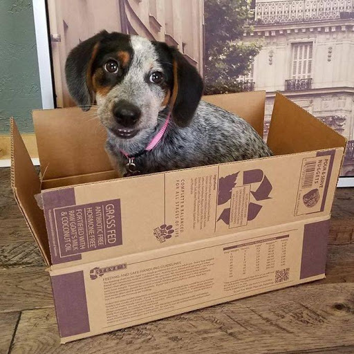 Pet Supply Store «Pet X Supplies & Tack», reviews and photos, 132 W Highland Rd Suite 101, Howell, MI 48843, USA