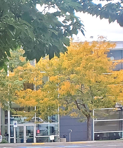 Conference Center «Karen Gail Miller Conference Center», reviews and photos, 9750 300 W, Sandy, UT 84070, USA