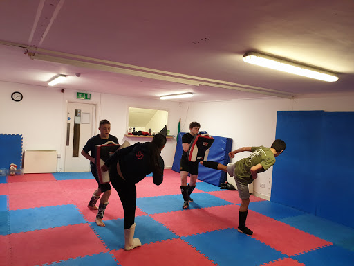 Taekwondo lessons Dublin