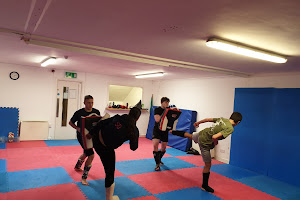 The Martial Arts Academy