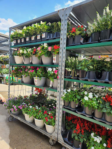 Home Improvement Store «The Home Depot», reviews and photos, 2461 N Richmond Rd, McHenry, IL 60051, USA