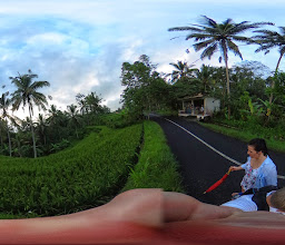 Ricefields Tegallalang photo