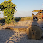 Photo n°5 de l'avis de Sergey.a fait le 08/07/2018 à 22:46 sur le  Die Stranddüne - Restaurant | Café à Scharbeutz