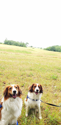 State Park «Nasketucket Bay State Reservation», reviews and photos, Brandt Island Rd,, Mattapoisett, MA 02739, USA