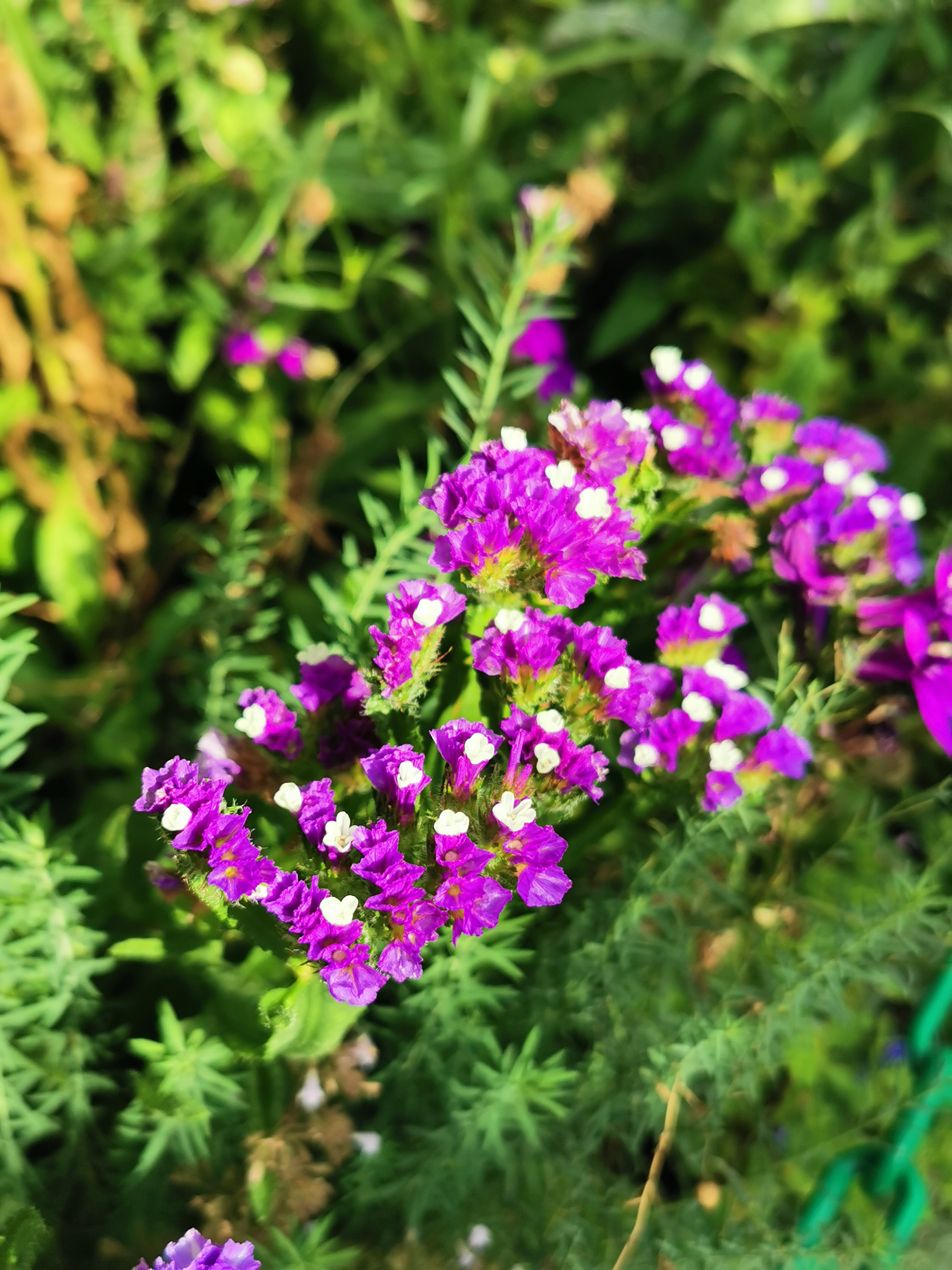 Photo n° 6 de l'avis de Sylvie.a fait le 22/08/2023 à 18:08