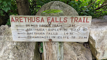Arethusa Falls Trailhead Parking