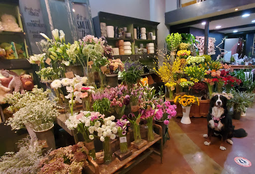 Artificial flowers stores Chicago