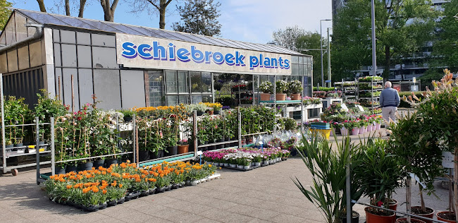 Tuincentrum Schiebroek/ Schiebroek Plants - Bloemist