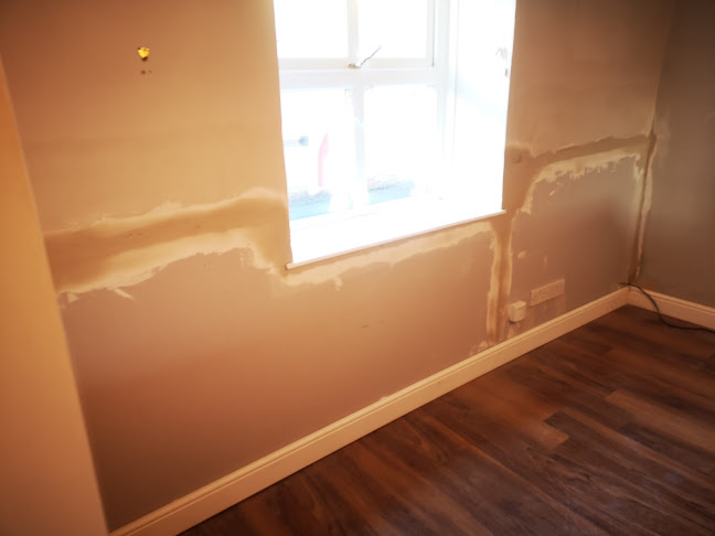 Moss Damp Proofing - Construction company