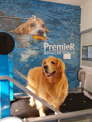 Fisio Care Pet em Campinas - SP