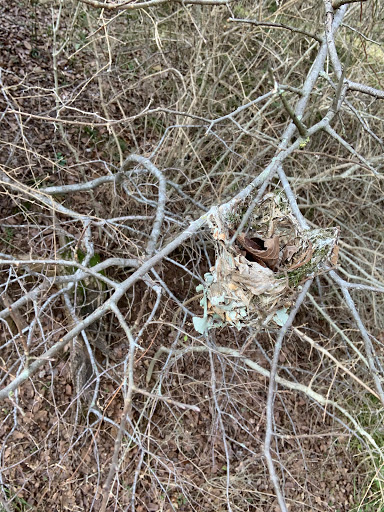 National Park «Waco Mammoth National Monument», reviews and photos, 6220 Steinbeck Bend Dr, Waco, TX 76708, USA