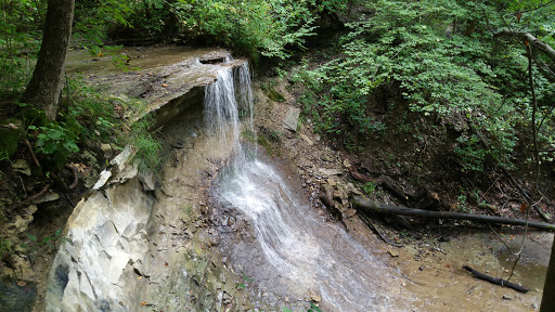 Nature Preserve «Kokiwanee Nature Preserve», reviews and photos, 5825 E 50 S, Lagro, IN 46941, USA