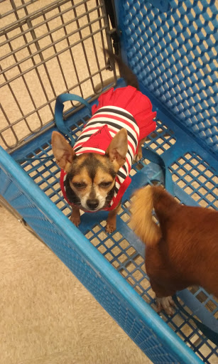 Pet Supply Store «PetSmart», reviews and photos, 11945 Central Ave, Chino, CA 91710, USA
