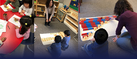 Sapphire Montessori Academia