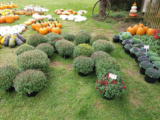 Florist «Drying Shed», reviews and photos, 1587 Newcomer Rd, Chambersburg, PA 17202, USA