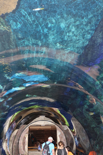 The Aquarium, 3400 Las Vegas Blvd S, Las Vegas, NV 89109
