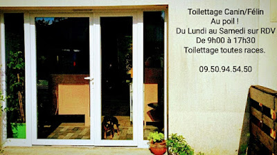 Au Poil Doré - Toilettage Canin/Félin et NAC à La Limouzinière
