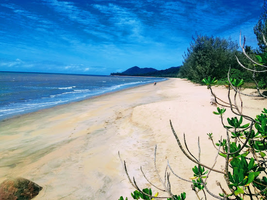 Bramston Beach