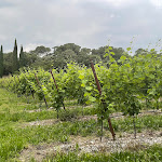 Photo n°4 de l'avis de Armida.c fait le 12/06/2023 à 16:19 sur le  Country House Le Palazzole à Colà