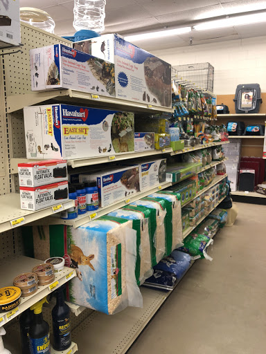 Home Improvement Store «Lake Isabella True Value», reviews and photos, 6050 Lake Isabella Blvd, Lake Isabella, CA 93240, USA