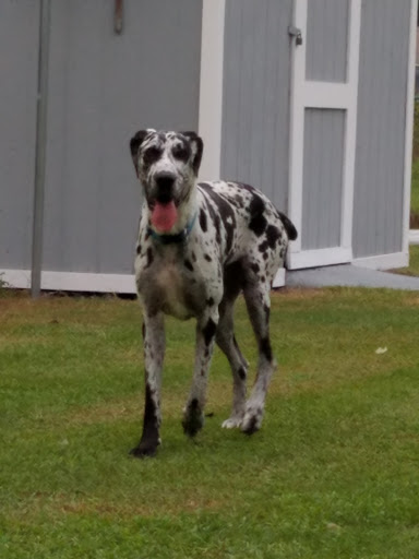 Pet Supply Store «For Pets Sake», reviews and photos, 2576 Montgomery Hwy # 6, Dothan, AL 36303, USA