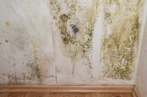 Fire Damage Restoration Service «First Response Services of Warner Robins GA», reviews and photos