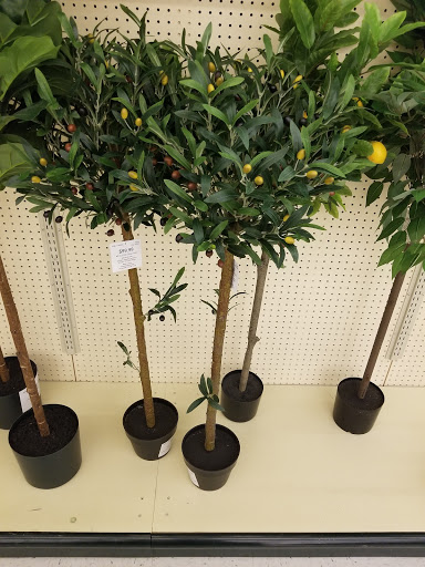 Craft Store «Hobby Lobby», reviews and photos, 7504 US-72 c, Madison, AL 35758, USA